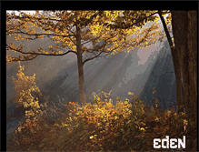 Tablet Screenshot of edenprods.com